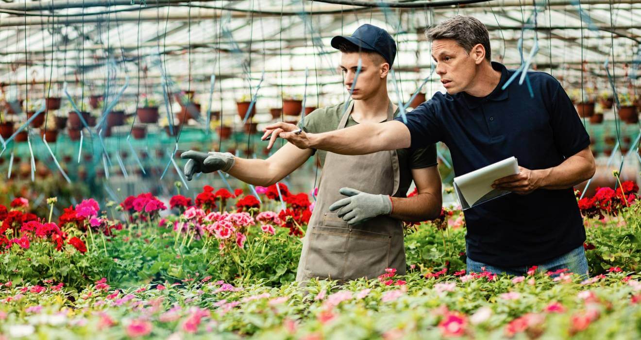 Essential Lawn Care Tips For A Greener Yard