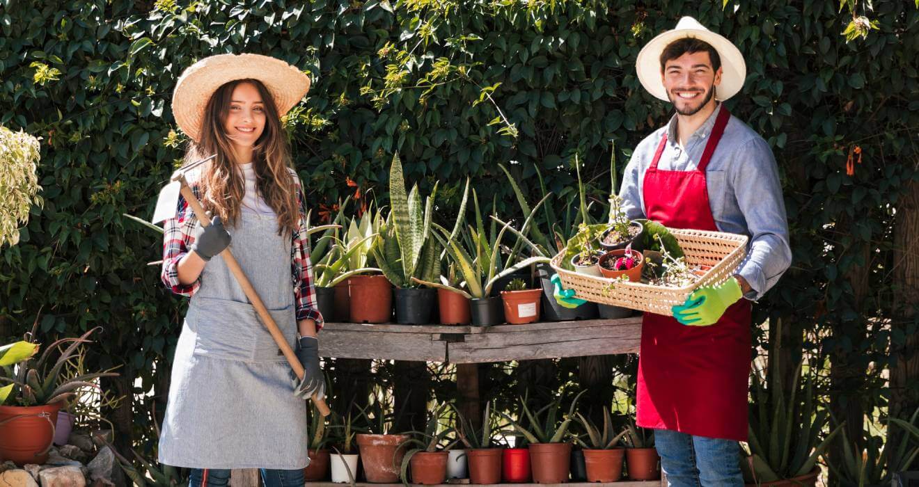 Creating Beautiful Gardens For Every Season